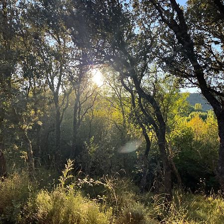 Casa Menta Βίλα Canicosa Εξωτερικό φωτογραφία
