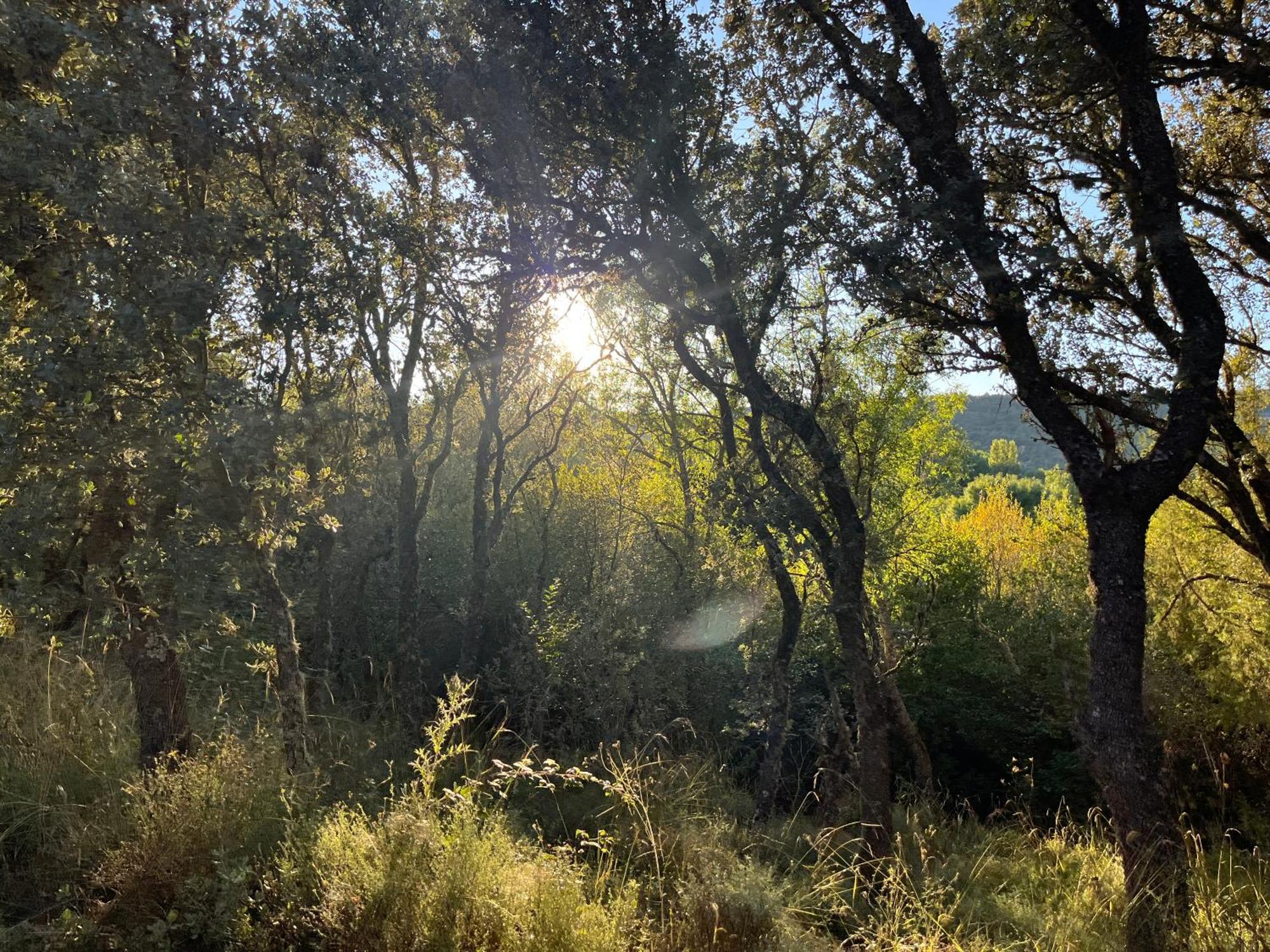 Casa Menta Βίλα Canicosa Εξωτερικό φωτογραφία